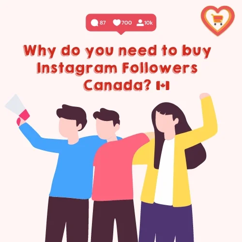 nstagram Followers Canada